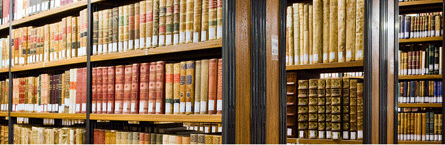 Nueva adquición en la Biblioteca de Pamplona